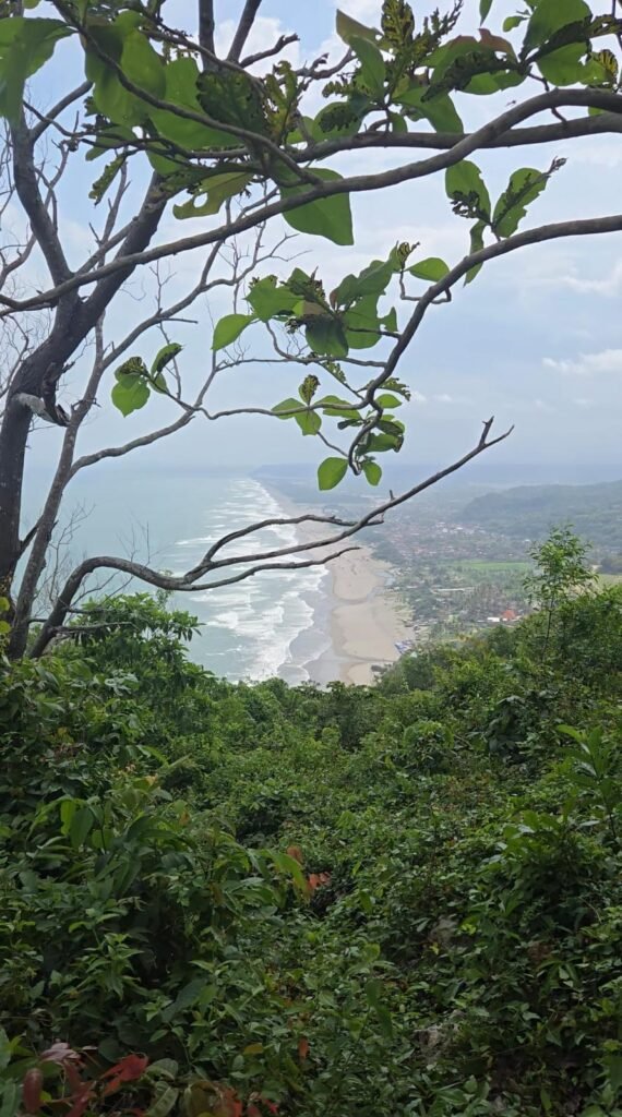 WhatsApp Image 2025-06-18 at 16.11.20 (1)